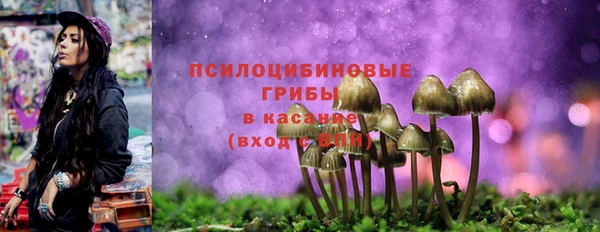 apvp Аркадак