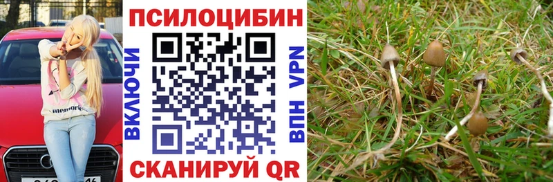 где продают наркотики  Чернушка  Псилоцибиновые грибы прущие грибы 