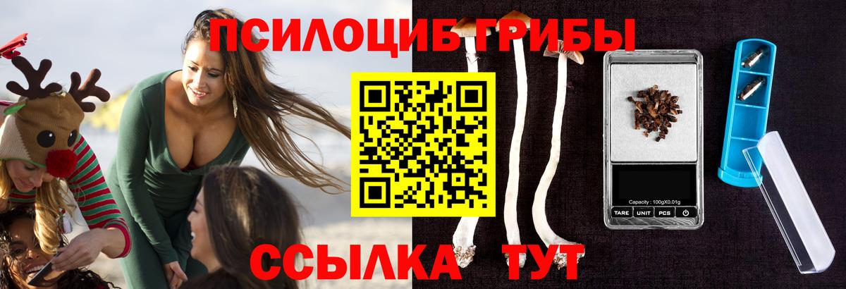 Псилоцибиновые грибы Psilocybe  Вход с VPN  Чернушка  Псилоцибиновые грибы GOLDEN TEACHER 